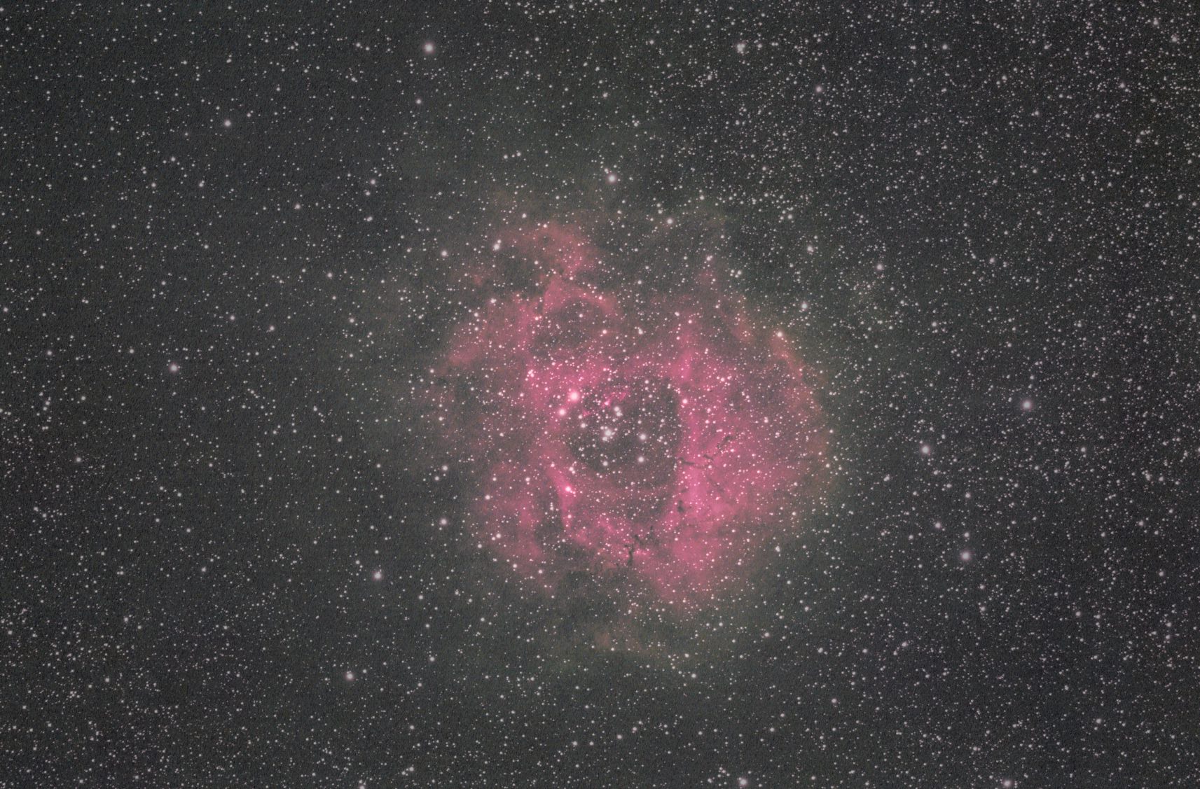 Rosette Nebula selected presentation candidate